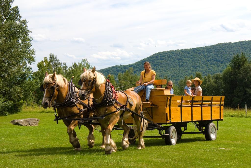 סטואו Von Trapp Family Lodge & Resort מראה חיצוני תמונה